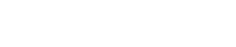 connex new logo